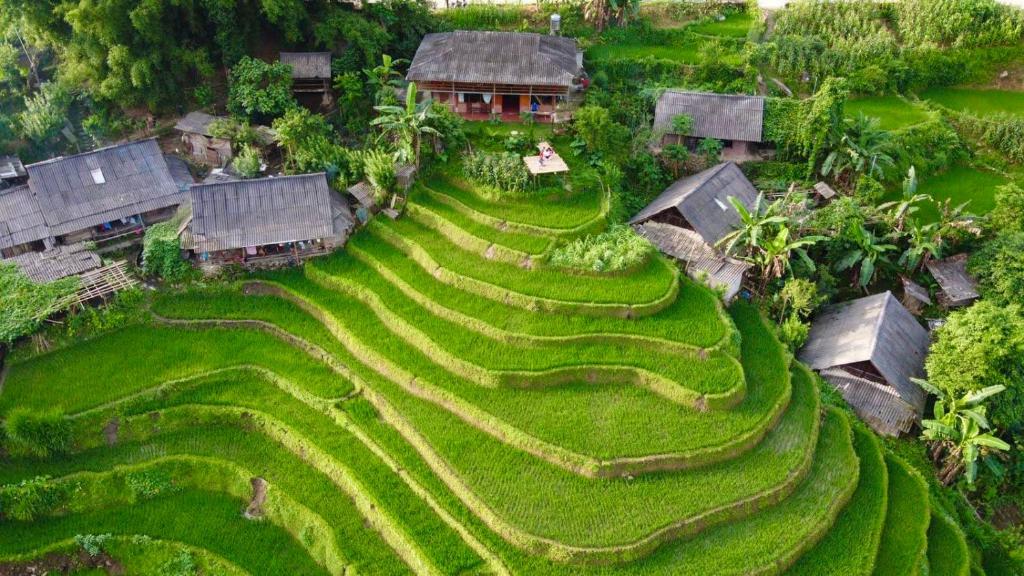 My's Homestay sapa – Sa Pa
